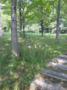 100818_143608.jpg